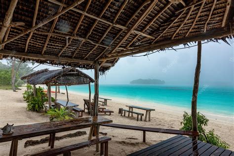 Premium Photo | Port Orly sandy beach with palm trees Espiritu Santo