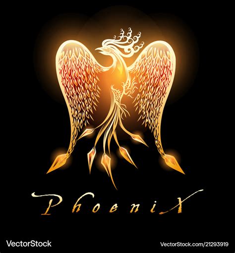 Burning Phoenix Bird On Black Background Vector Image