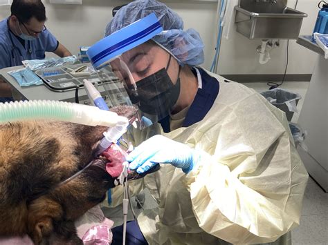 Holloman dental clinic implements new technology > Holloman Air Force