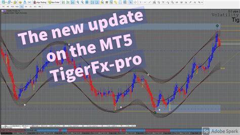 Best Mt5 Trading System Indicators 2021just Get Updated100 Super