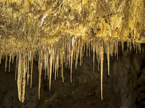 Stalactites In Carlsbad Caverns Photograph By Jean Noren Fine Art America