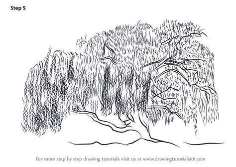 Learn How To Draw A Willow Tree Trees Step By Step Drawing Tutorials