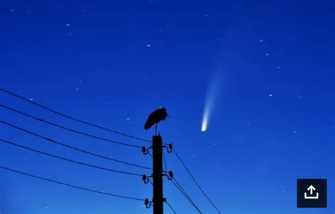 How To Watch For Spectacular Comet Neowise Before It Disappears For