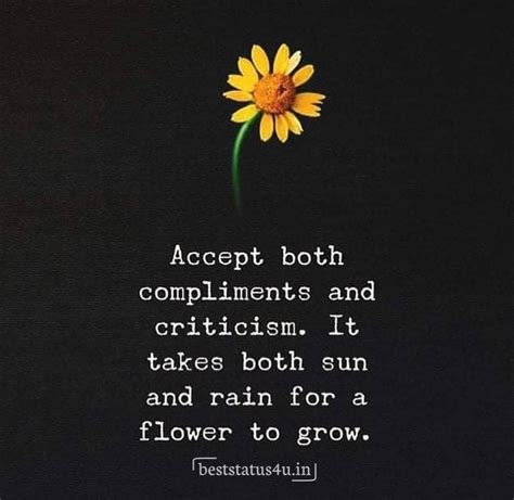 100 Best Quotes For Flower Lovers Cute Whatsapp