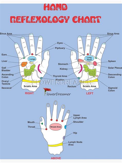 Hand Reflexology Chart Ubicaciondepersonascdmxgobmx