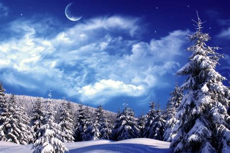 Christmas Snow Scene Wallpaper ·① Wallpapertag