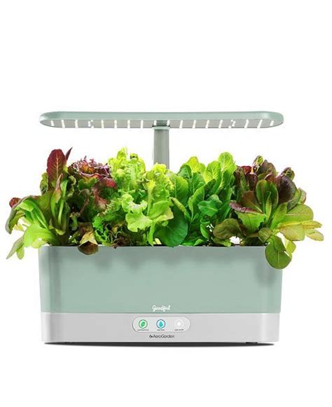 The popularity of indoor garden sprouters/growers have certainly made its way into our homes and made having a green thumb easier than ever. Pin on Products I Love