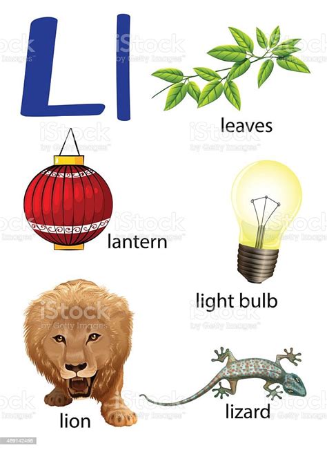 Things That Start With The Letter L Stock Illustration Download Image