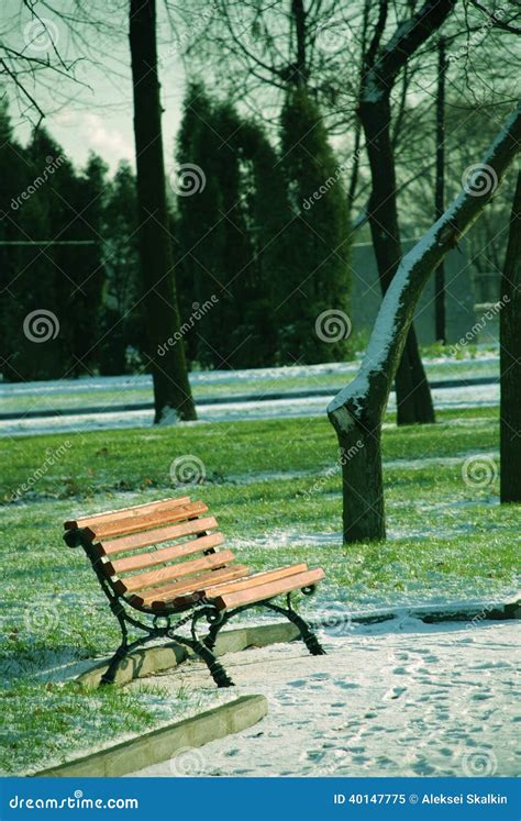 Lonely Bench In The Park Early Winter Stock Image Image Of Loneliness