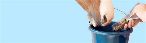 Smartpak Equine Horse Supplements