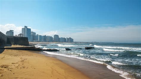Locals in the coastal city were eager to catch a glimpse of the. Free stock photo of Argentina, atlantic, beach