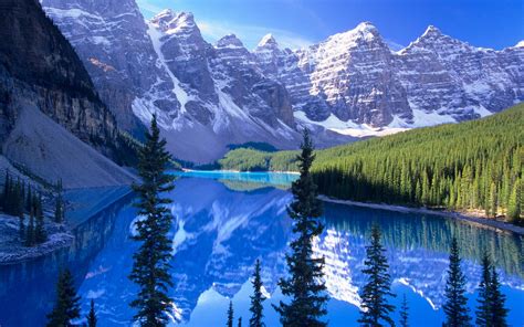 Lake Forest Moraine Lake Trees Mountains Nature Hd Wallpaper