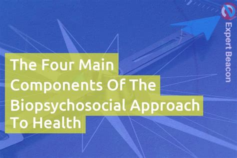 The Four Main Components Of The Biopsychosocial Approach To Health