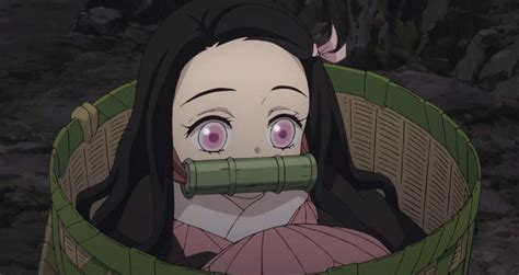 Why Does Nezuko Have Bamboo In Her Mouth In 2023 Dohongseo