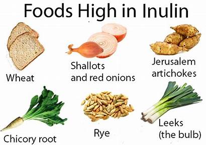 Inulin Examples Carbohydrates Fiber Chicory Root Benefits