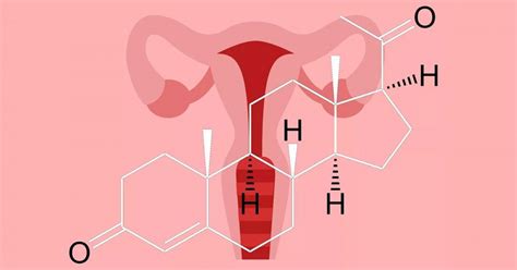 Progesterona Características Y Funciones De Esta Hormona Hormonas
