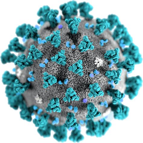 Coronavirus Disease Png Transparent Image Free Psd Templates Png