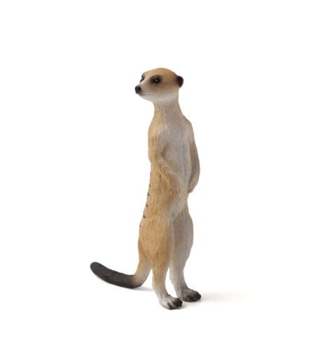 Meerkat Collectible Diorama Animals Gimj 387125