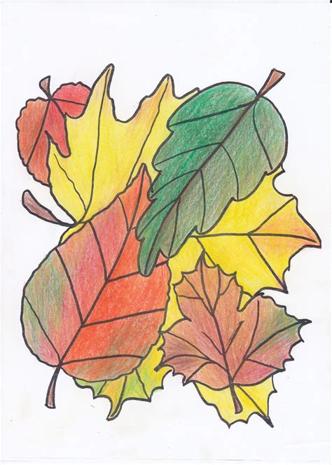 Check spelling or type a new query. BLOGUL-MARYAM-BM: IMAGINI DE COLORAT PENTRU COPII