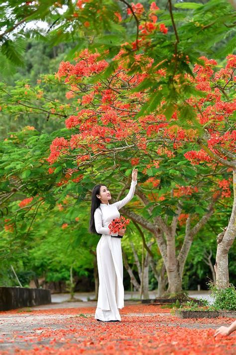 Đây là một món ăn vô cùng dân dã và khá quen thuộc với giới trẻ hải phòng. Cô gái xinh đẹp thả hồn trên con đường hoa phượng đỏ Hải Phòng | Gái xinh, Áo dài, Dép