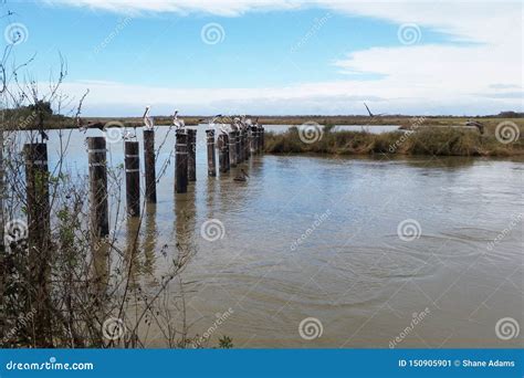 Bayou Lafourche, Louisiana stock image. Image of waterscape - 150905901
