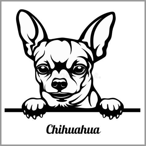 Chihuahua pies ilustracji Ilustracja złożonej z figlarnie