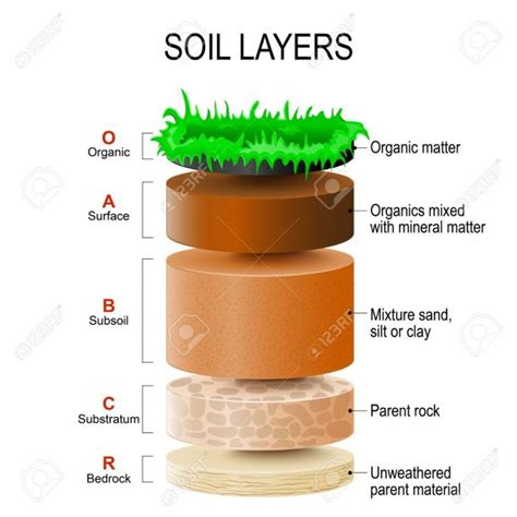 Layers Of Soil Diagram