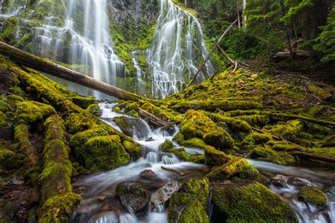 1006 Cascade Falls Mossy Rocks Photos Free And Royalty Free Stock
