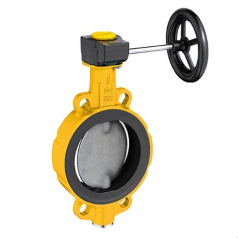 Manual Resilient Seated Butterfly Valve At Rs 70000piece Gas