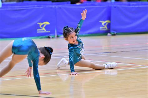 2017 All Districts Aerobic Gymnastics Age Group Competition Kidnetic
