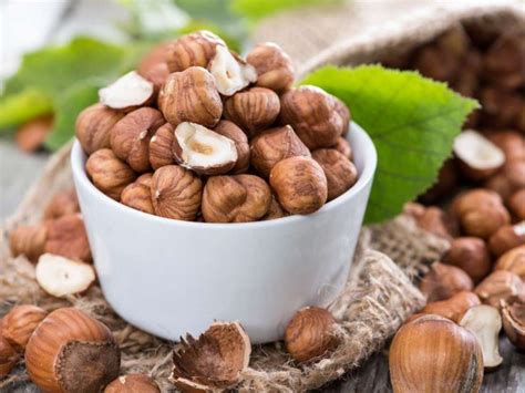 Hazelnuts Are A Delicious Snack And They Provide A Range Of Benefits