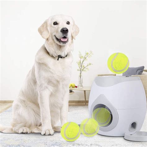 Automatic Dog Feeder Interactive Dog Ball Fetch And Treat Dispenser