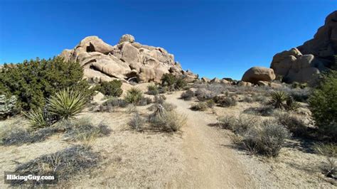 Hike Split Rock Joshua Tree Loop Trail