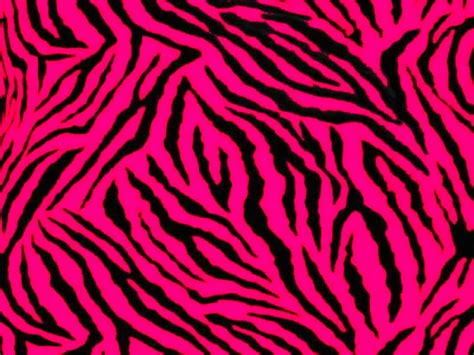 Pink And Black Zebra Print 40 Cool Wallpaper