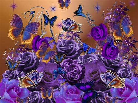 Purple Roses And Butterflies For Berni Yorkshirerose