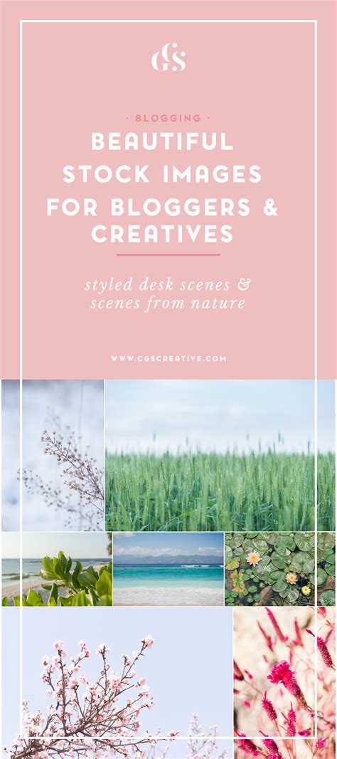 Where To Find Beautiful And Unique Stock Photos For Bloggers And