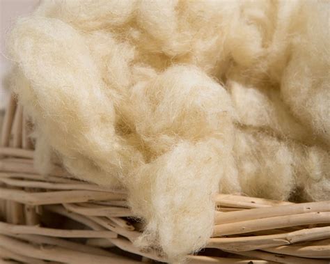 Oeko Tex Certified Wool Stuffing Home Of Wool All Natural Materials