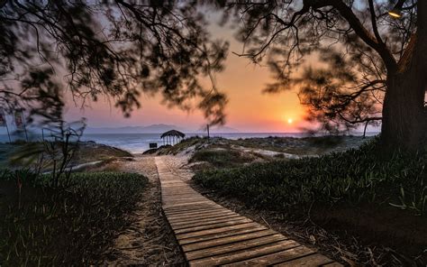 Landscape Nature Island Path Walkway Beach Sunset Trees Shrubs