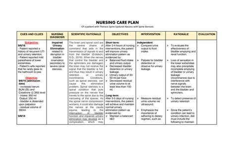 Ncp Impaired Urinary Elimination Tahbso Nursing Care Plan Chronic
