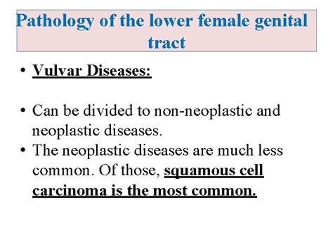 Pathology Of The Lower Female Genital Tract Vulvar