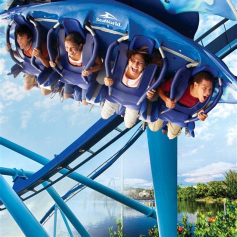 Seaworld Orlando Top Must See Theme Park Attractions