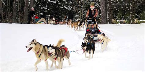 Dog Sledding In Ontario 10 Awesome Places To Experience The Winter