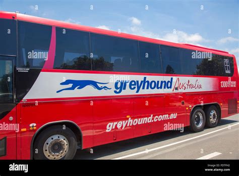 Greyhound Australia Travel Red Bus In New South Walesaustralia Stock