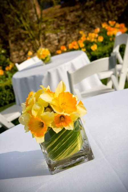 Memorable Wedding Spring Wedding Theme Daffodils