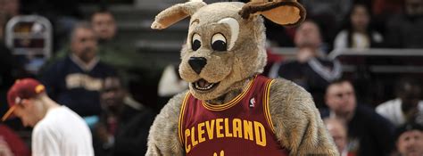 Blaze the trail cat hosted a wrestling match with some mascots. Cavs Mascot Starts Twitter Beef With Portland Trail ...