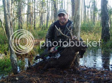 Pics Free Range Sika Stag On Mds Eastern Shore Public Land