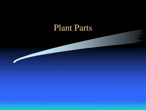 Ppt Plant Parts Powerpoint Presentation Free Download Id985692