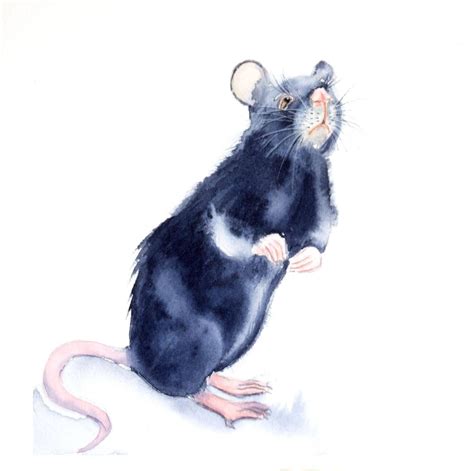 Rat Watercolor Painting Art Print Rat Rat Print Art Animal Painting
