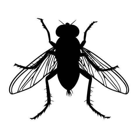 Fly Silhouette Isolated On White Background Icon Vector Illustration