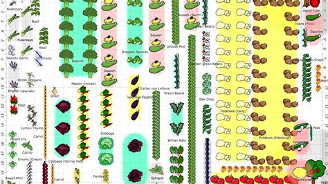 How To Layout A Vegetable Garden Vege Choices